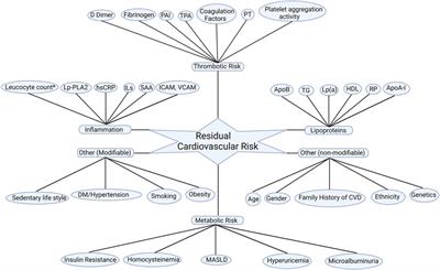 Beyond LDL-C: unravelling the residual atherosclerotic cardiovascular disease risk landscape—focus on hypertriglyceridaemia